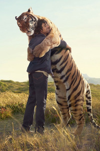 Tiger hug (1080x2280) Resolution Wallpaper