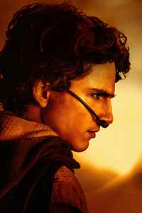 Timothee Chalamet As Paul Atreides In Dune 2 (640x960) Resolution Wallpaper
