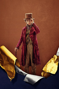 240x320 Timothee Chalamet As Willy Wonka Movie