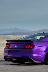 TJIN Edition Ford Mustang EcoBoost 2018 Rear