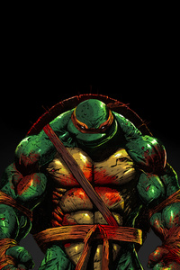 Tmnt Michelangelo (480x854) Resolution Wallpaper