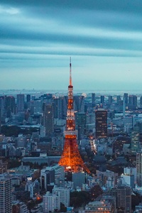 Tokyo Tower (640x1136) Resolution Wallpaper