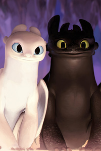 Toothless And Light Fury (640x960) Resolution Wallpaper