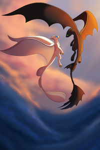 Toothless And The Lightfury (640x1136) Resolution Wallpaper