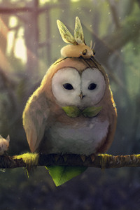 Tranquil Owl