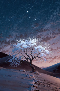 Twilight Bloom In The Dunes (640x1136) Resolution Wallpaper