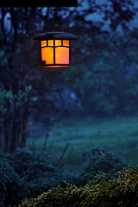 Twilight Lamp Evening Outdoors (320x568) Resolution Wallpaper