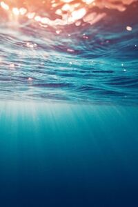 Underwater Sea (320x480) Resolution Wallpaper