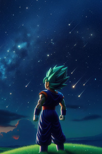 Vegeta Gazing At The Skies (2160x3840) Resolution Wallpaper