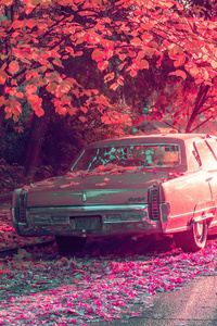 1080x2160 Vintage Car Parked Under Tree Covered By Flowers