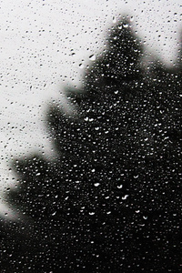 Water Drops On Glass (1080x2160) Resolution Wallpaper