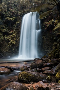 Waterfall Forest (640x1136) Resolution Wallpaper