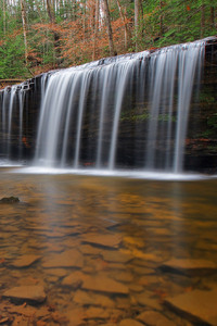 Waterfall HD Forest (1440x2560) Resolution Wallpaper
