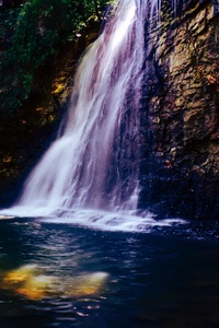 Waterfall Scenery 5k (640x1136) Resolution Wallpaper