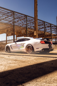 480x854 White Ford Mustang Shelby Gt500