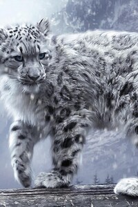 White Leopard Hd