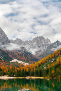 Wildsee Reflections In The Dolomites Italy (640x1136) Resolution Wallpaper