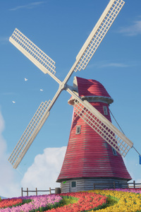 Windmill Tulips Field 5k (240x400) Resolution Wallpaper