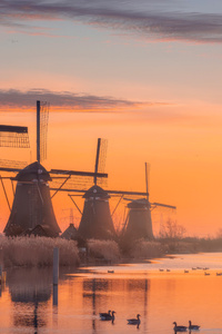 Windmill Village In Netherlands (640x960) Resolution Wallpaper
