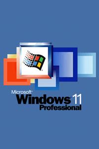 1440x2560 Windows 11 Professional Minimal 5k