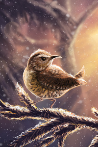 Winter Bird (1125x2436) Resolution Wallpaper