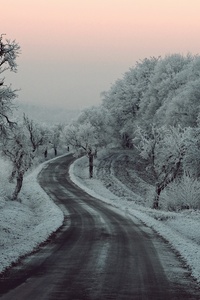 Winter Road Snow Frozen Trees On Sides 5k
