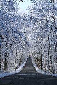Winter Road Way 5k