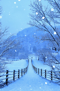 Winter Roads Of Japan 4k
