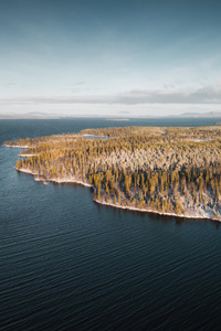 Winter Sea Trees Aerial View 5k (1440x2960) Resolution Wallpaper