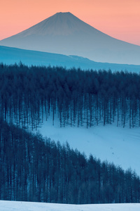 Winter Wonderland 5k Ultra Bliss (1440x2560) Resolution Wallpaper