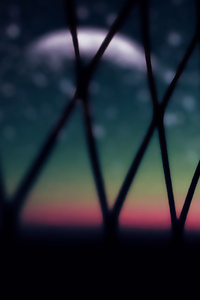 Wire Fence Macro (750x1334) Resolution Wallpaper