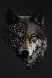 640x960 Wolf Minimal 4k