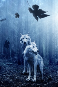 Wolf Predator Forest 5k
