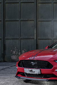 Wolf Racing Ford Mustang 2019 (720x1280) Resolution Wallpaper