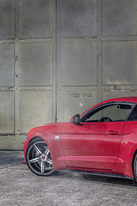 Wolf Racing Ford Mustang 2019 Rear