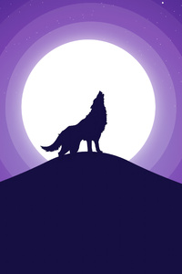 240x400 Wolf Silhouette Illustration 5k