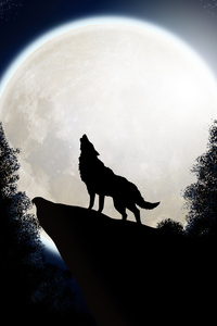 1080x2160 Wolf The Midnight Colf