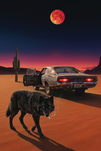 Wolf Walking Through Desert Alongwith Muscle Car (1280x2120) Resolution Wallpaper