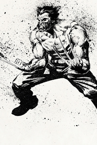 Wolverine 4k Sketch Art