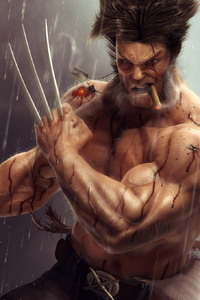 Wolverine Artwork 4k
