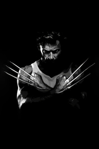 Wolverine Monochrome 5k (320x568) Resolution Wallpaper