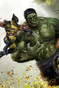 Wolverine V Hulk (320x568) Resolution Wallpaper
