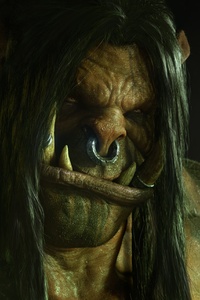 World Of Warcraft Grommash Hellscream (1080x2400) Resolution Wallpaper