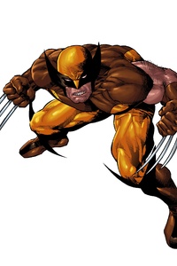 X Men Marvel Comics Wolverine