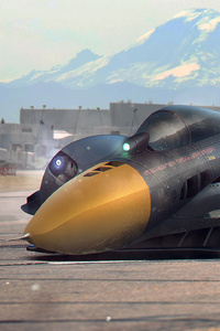 XXS Tomcat F 15 Art