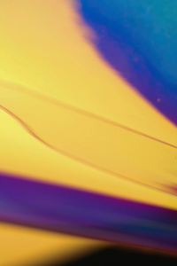 Yellow Colour Abstract 4k (1125x2436) Resolution Wallpaper