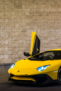 Yellow Lamborghini Aventador 2019 (1080x2160) Resolution Wallpaper