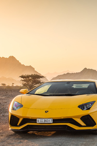 Yellow Lamborghini Aventador 5k (1080x1920) Resolution Wallpaper