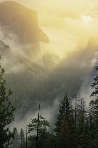 Yosemite National Park Beautiful View 5k