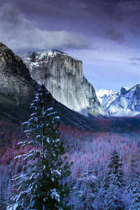 Yosemite Tunnel Tuolumne Meadows United States (750x1334) Resolution Wallpaper